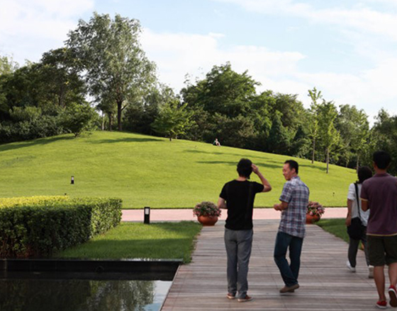 马奈草地国际俱乐部 绿化