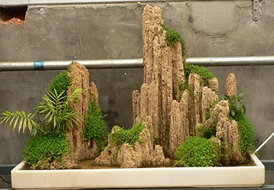 吸水石假山盆景效果图（一）