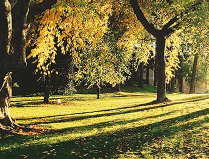 园林绿化及园林绿化施工介绍