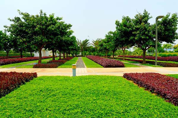 园林绿化的施工工程包含了什么