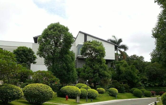 园林景观工程铺装常用哪些材料有哪些