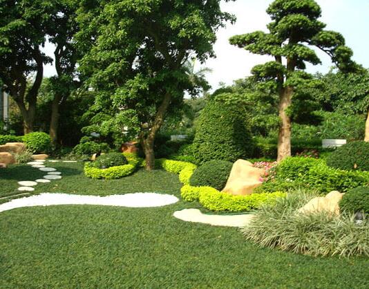 园林绿化施工有哪些流程步骤