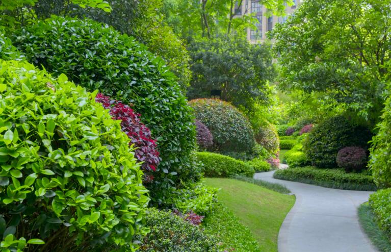 你了解园林绿化养护存在哪些意义