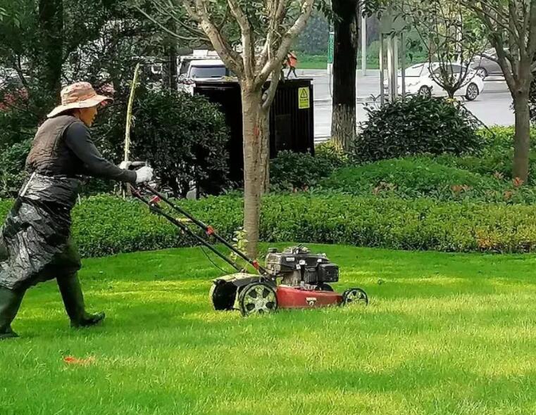 绿化养护包括哪些方面 绿化养护包括什么