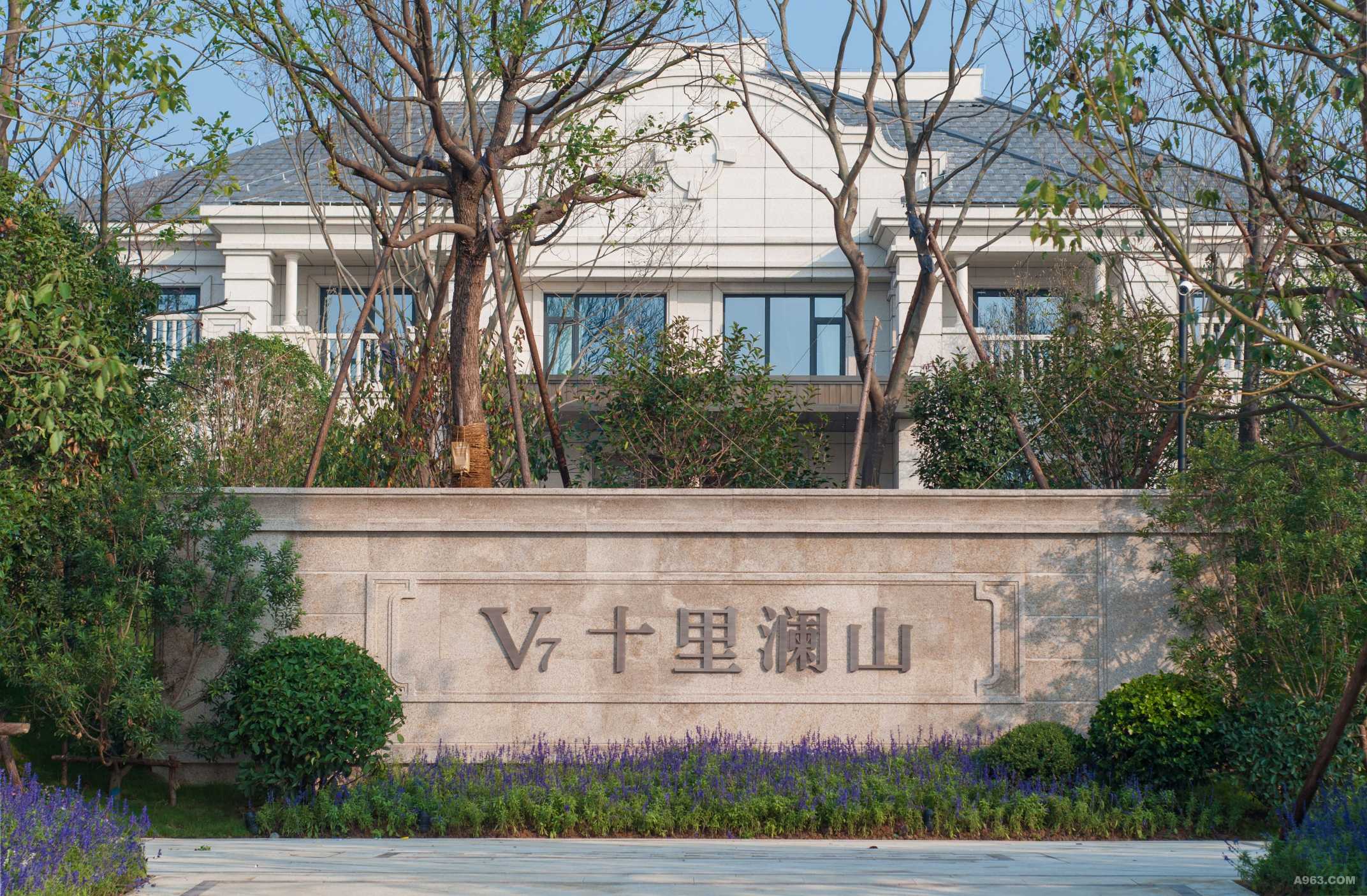 《绘就宁波十里澜山生态画卷，开启绿化新征程》