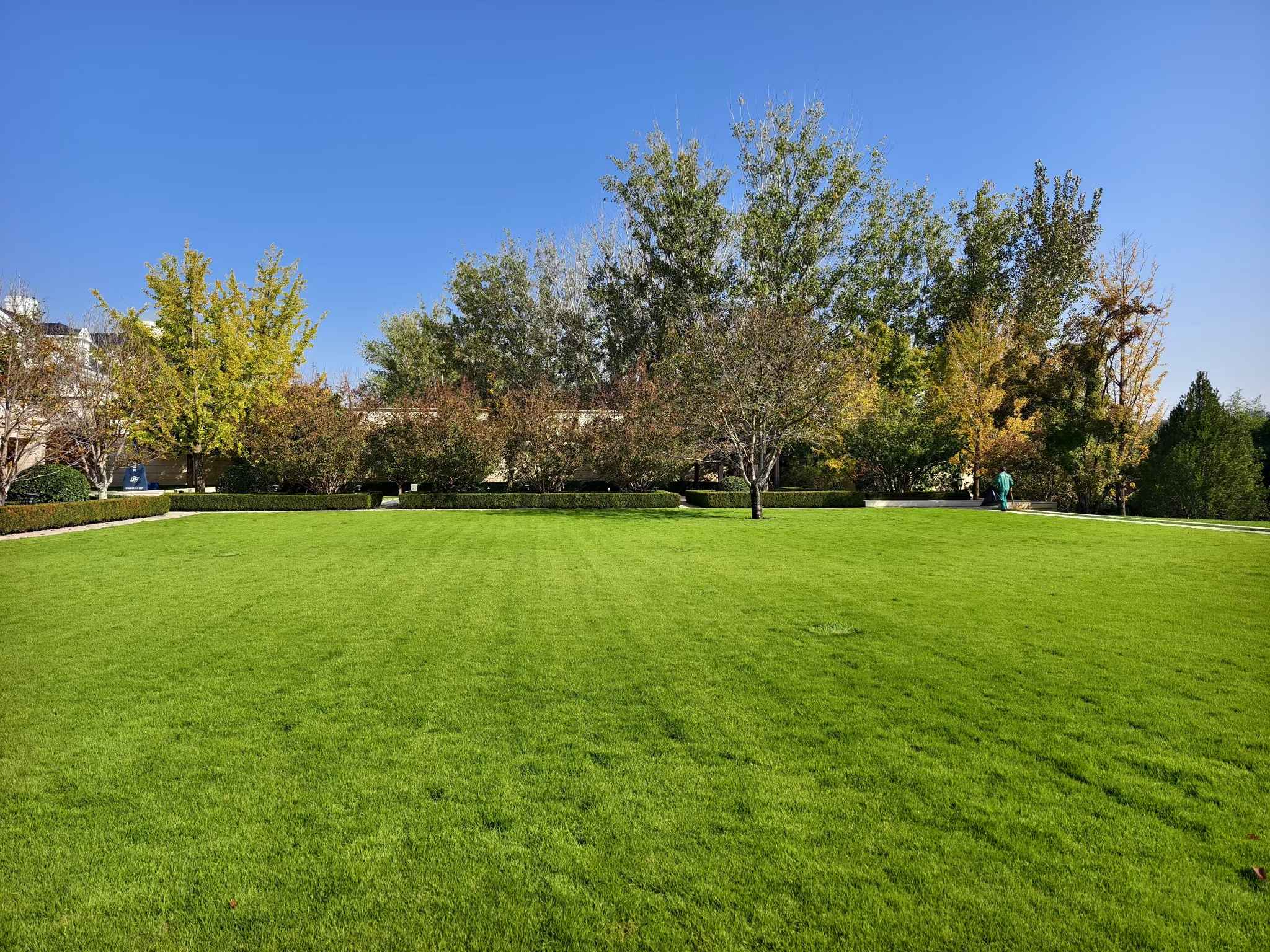 天宏园林入驻石榴沧州绿化项目，共筑城市美好未来