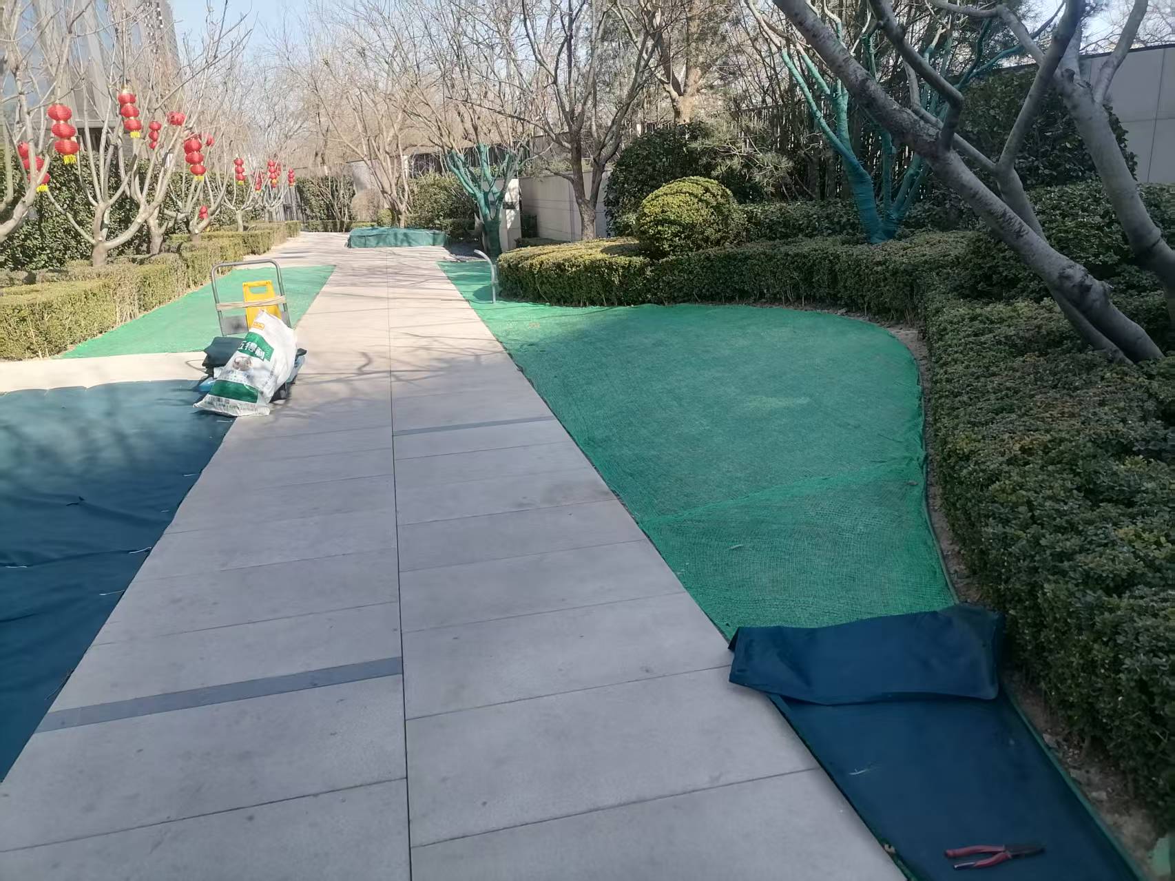 北京春季园林绿化养护之撤除防寒布