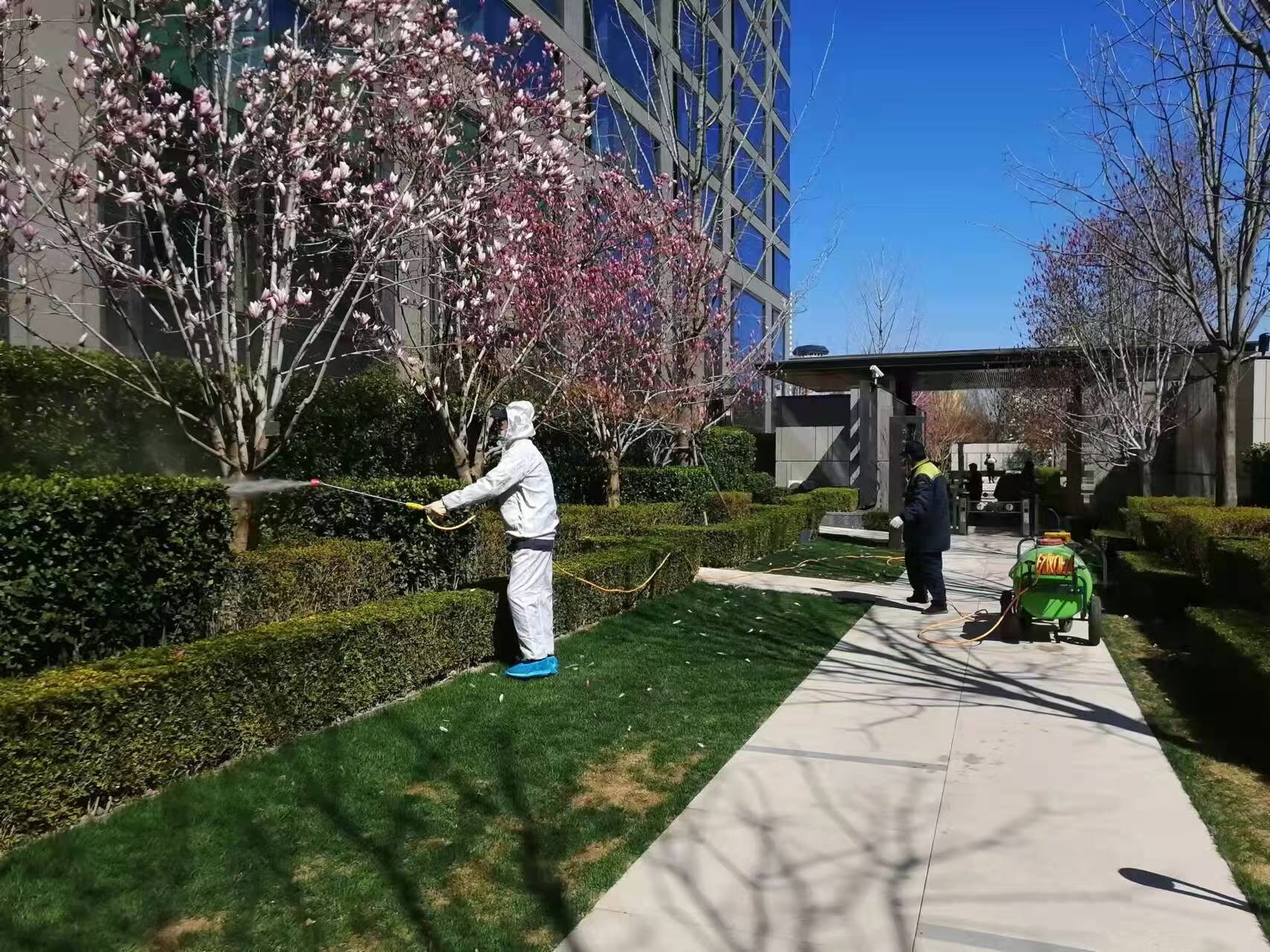 北京春季园林绿化养护之石硫合剂