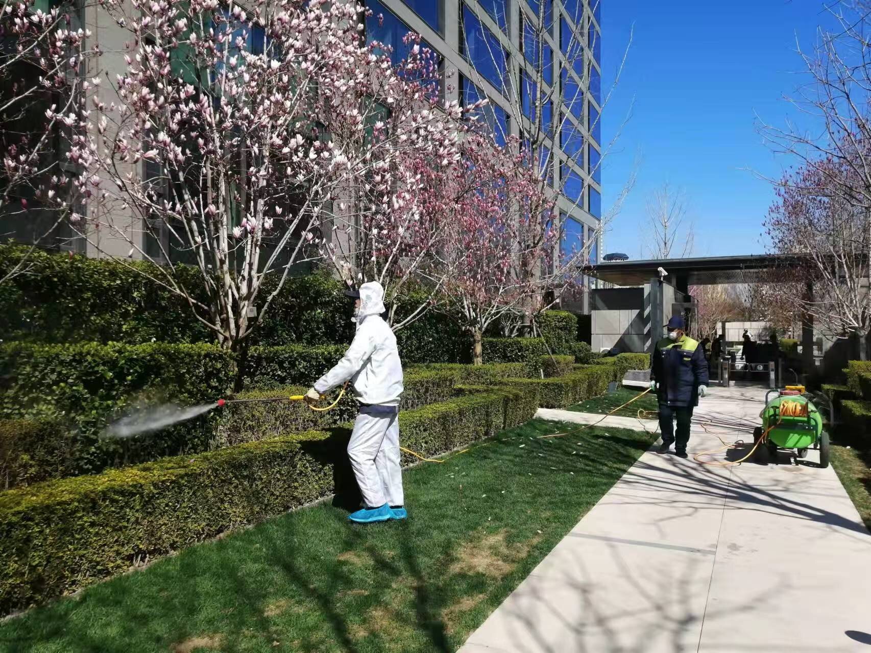 北京春季园林绿化养护之要点