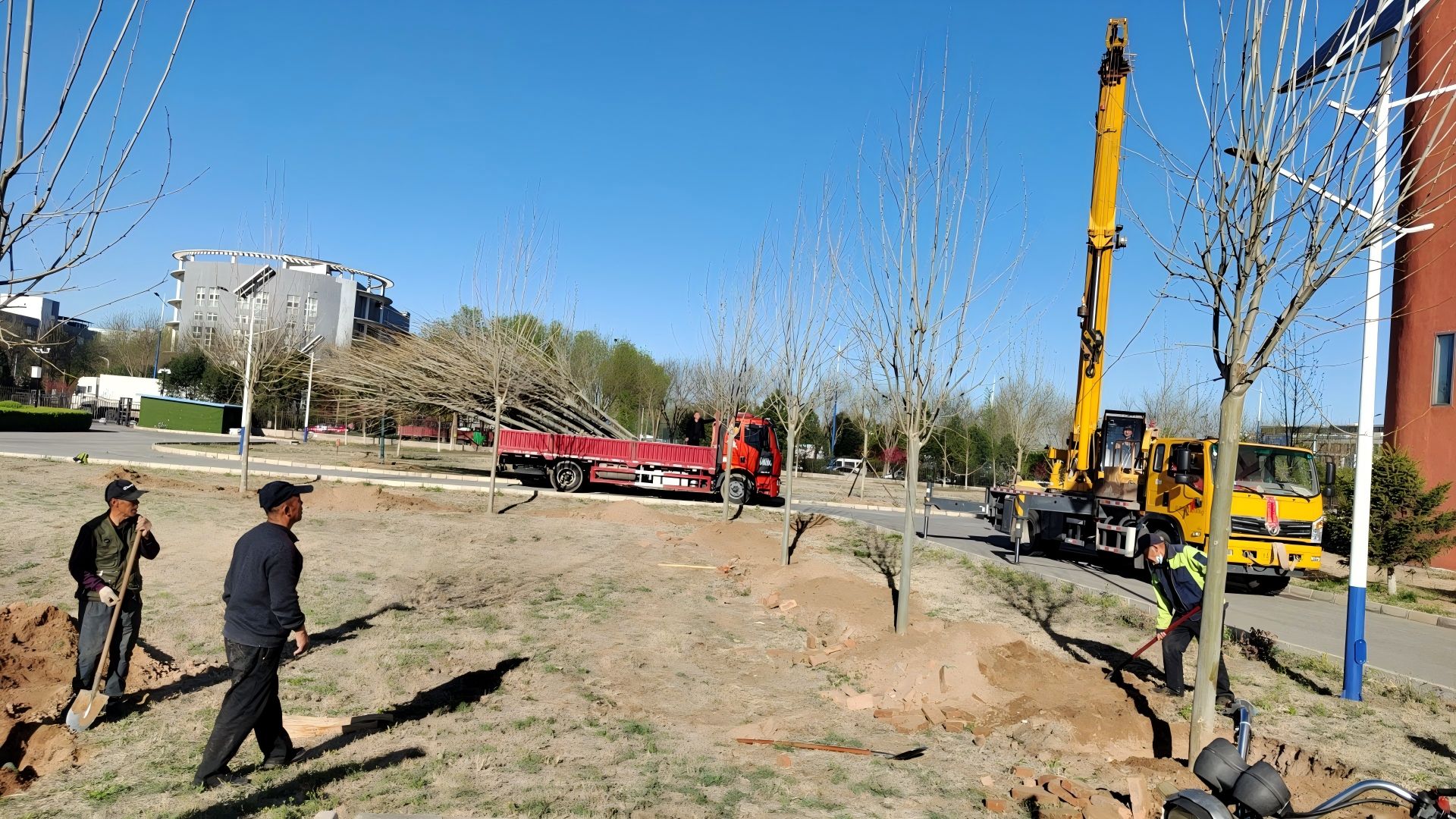 在北京进行春季种树，最佳时间是什么时候