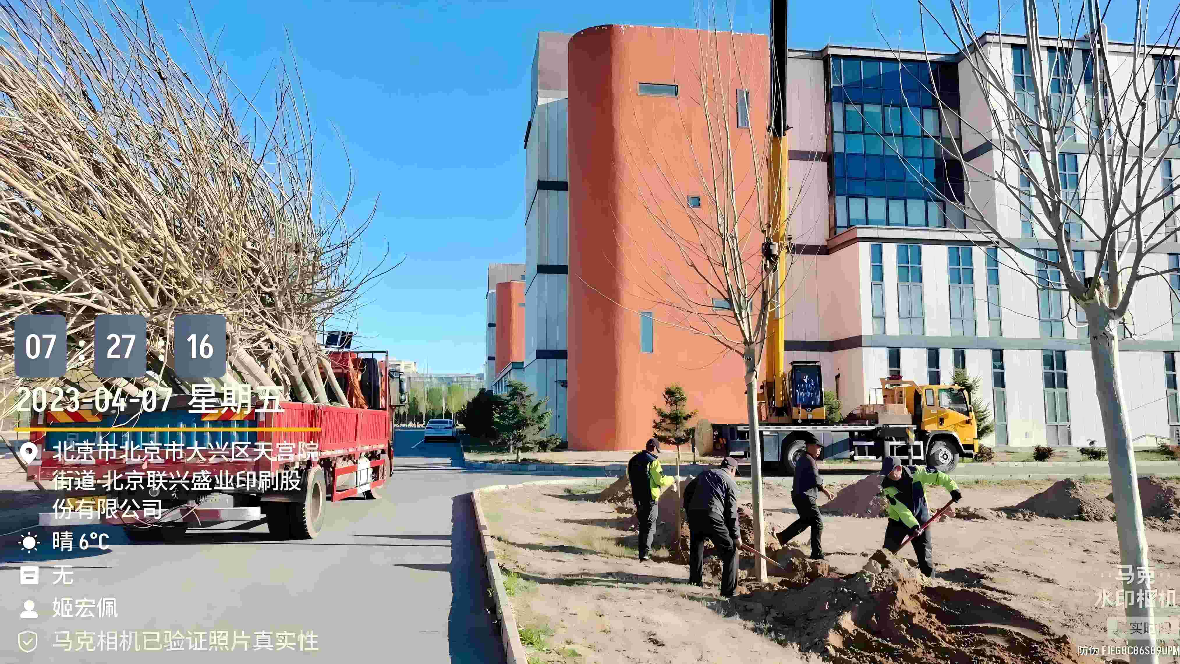 北京春季植树最好的时间是什么时候？