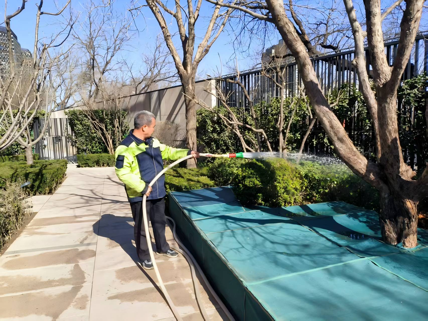 园林绿化之春季养护指南