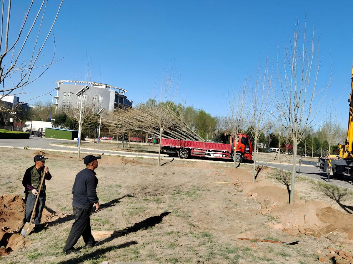 中国兽药监督所