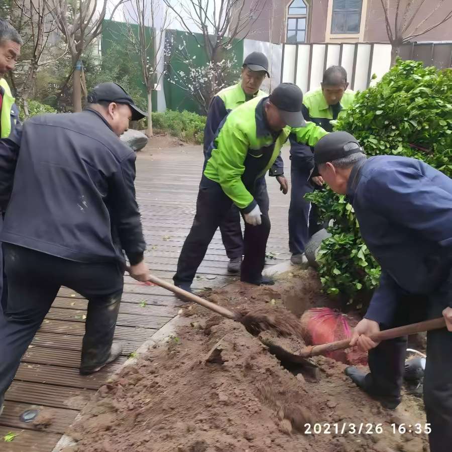 园林绿化工程施工中有那些注意事项